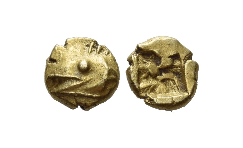 Asia, Mysia, Cyzicus, 1/24 Stater ca. 600-550 BC